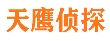 黑水侦探公司